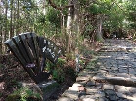 ぜひこの時期に歩いてみませんか？【大門坂】