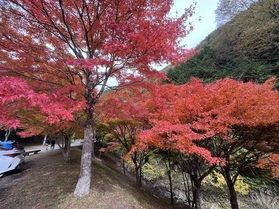 長野県箕輪町　「もみじ湖紅葉祭り」