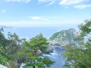 お散歩～大好き♪