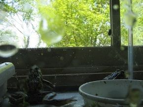 皆さんも会いに来ませんか？