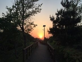 明日は夏至！展望台から見る夕陽