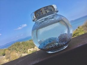 ふれあいプログラム♪