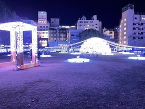 イルミネーションナイト
