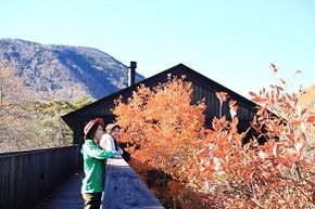 大好評♪秋の鹿沢の森ガイドウォーク🍁