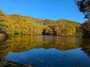 【2024】裏磐梯　紅葉　曲沢沼・五色沼　