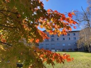 【紅葉だより】本日の休暇村周辺の紅葉＆これからの気温