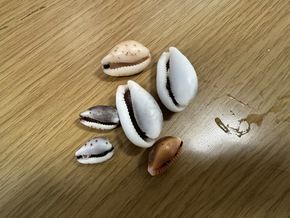 ３０００年前の通貨発見？！！