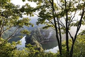 【体験プログラム】朝のお散歩会🌞