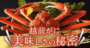 越前がに　おいしさの秘密