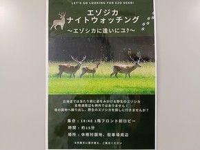 一緒にエゾシカを探しに行きませんか？
