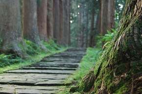 【お知らせとお願い】山伏の里を未来に
