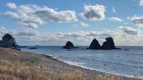 あま―い匂いのお花咲き始めました