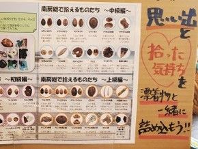 先日、「漂着物展 2026IN南房総」に行ってきまして…