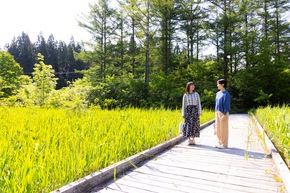 【体験プログラム】スタッフがご案内～朝食前の軽いお散歩～