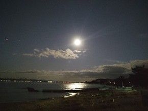 月と望遠鏡