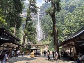 【スタッフが参加してみた】大門坂世界遺産ウォーク《後編》