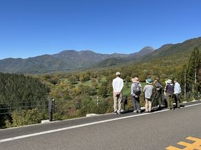 【秋の笹ヶ峰歩き旅】現在の紅葉🍁について