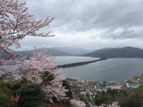 旅Ｑ　天橋立と伊根湾めぐりへ行ってきました！