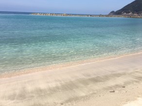 「ブラたけの」してきました♪