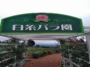 私の新しい『癒しのスポット』