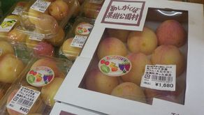 「道の駅あしがくぼ」旬のおすすめ商品