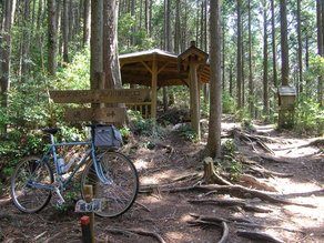熊野古道「通り峠」と丸山千枚田♪