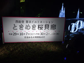 今年のときめき桜貝廊!レベルアップ!!