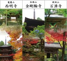 近江湖東の古刹　湖東三山めぐり