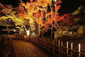 栗林公園 夜間ライトアップ