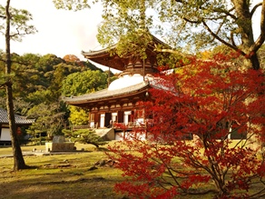 まだ・まだ見ごろ休暇村から行ける紅葉スポット