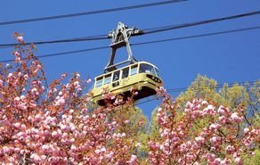 宝登山ロープウェイ一時運休のお知らせ