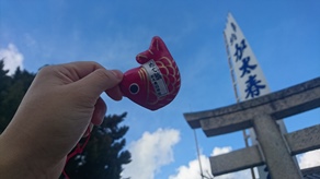 加太に来たなら加太春日神社で『めで鯛みくじ』！