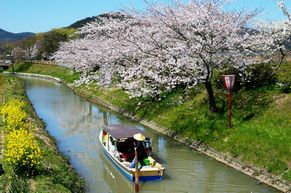 オススメ観光情報！四季の水郷巡りで楽しみも4倍に♪