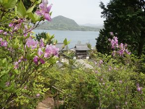 百花放たれ、山笑う春!