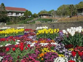 季節の綺麗な植物鑑賞いかがでしょうか？