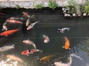 近江商人の町並み行ってきました♪