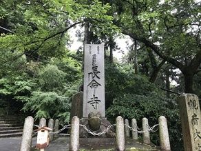 長命寺の紫陽花♪