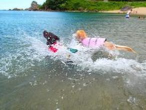 この夏はワンちゃんと思い出作りの海水浴はいかがですか？