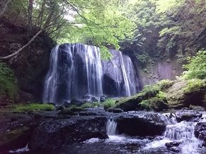 ジブリの世界！苔！天然のクーラー！？ここはどこ？