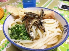 いりこが決めてのうどん屋さん！