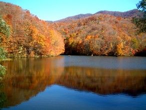 大人気の写真スポット毎年混みます！