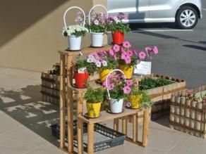 瀬戸内東予を彩るお花たち♪