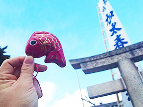 紀州加太近辺のオススメ初詣スポット！