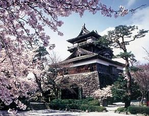 春はまるおか。ようよう白くなりゆく桜並木