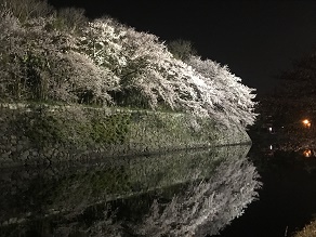 国宝の輝き
