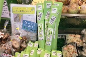 売り切れ必至!! 今話題「白い発芽にんにく」食べてみました。