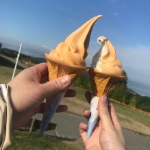 淡路特産のフルーツソフト