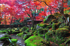おすすめ紅葉スポットのご紹介