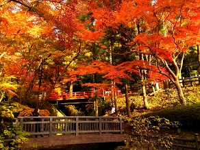 和歌山紅葉情報