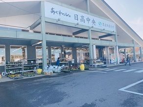 新鮮な野菜